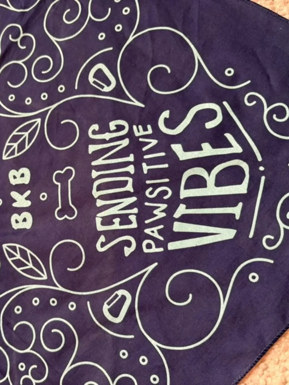 Brooklyn Boulders bandana Dog Rock climbing-themed design